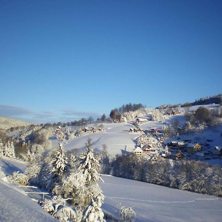 Cozy Apartment In Ore Mountains With Balcony Breitenbrunn  Ngoại thất bức ảnh