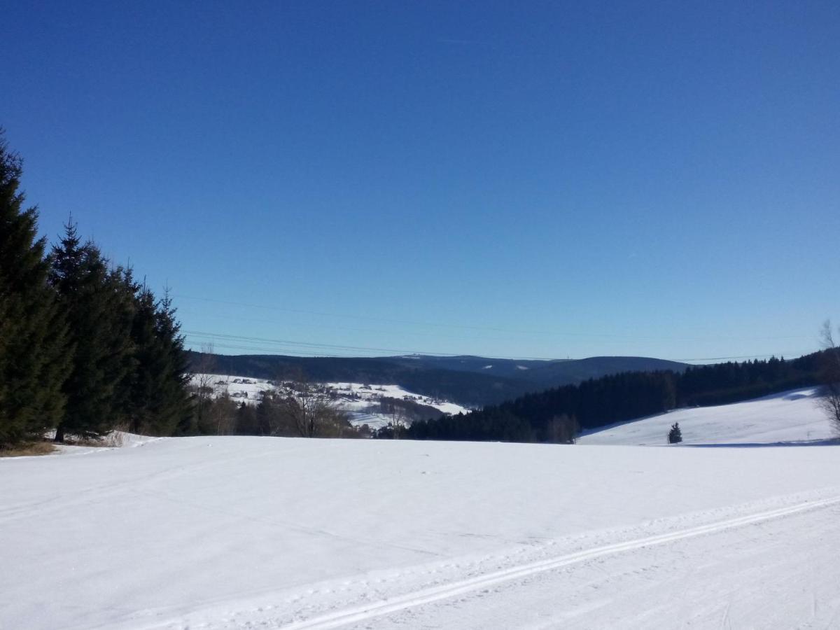 Cozy Apartment In Ore Mountains With Balcony Breitenbrunn  Phòng bức ảnh
