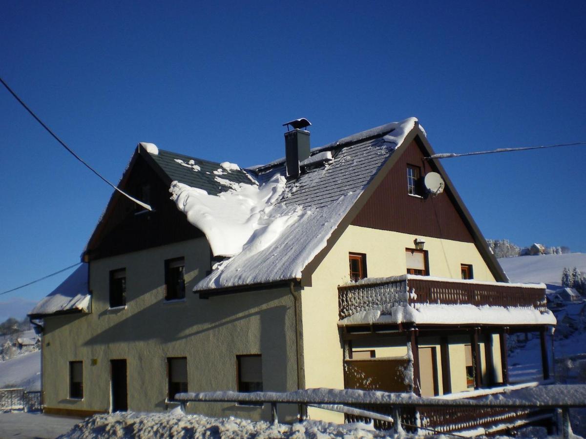 Cozy Apartment In Ore Mountains With Balcony Breitenbrunn  Ngoại thất bức ảnh