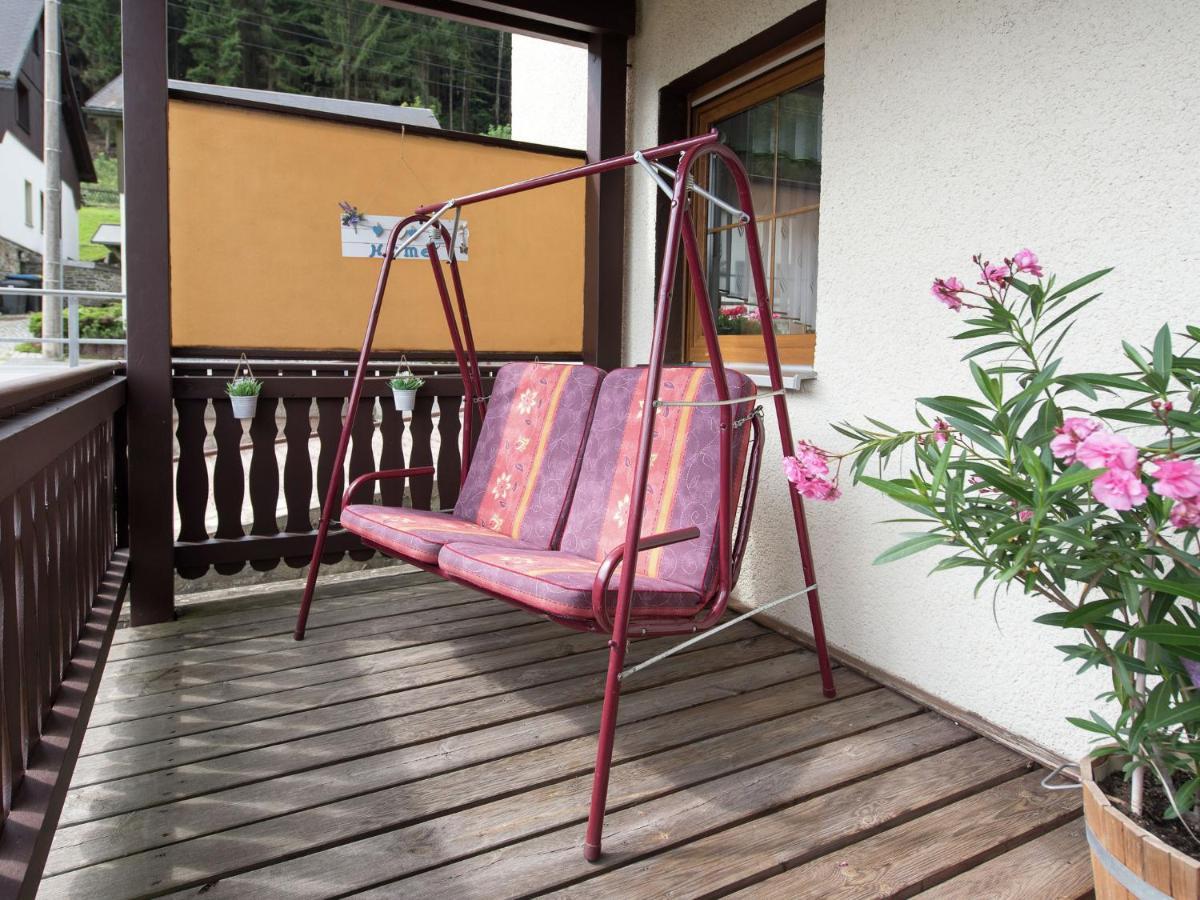 Cozy Apartment In Ore Mountains With Balcony Breitenbrunn  Ngoại thất bức ảnh