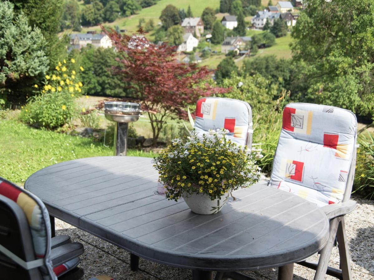 Cozy Apartment In Ore Mountains With Balcony Breitenbrunn  Ngoại thất bức ảnh