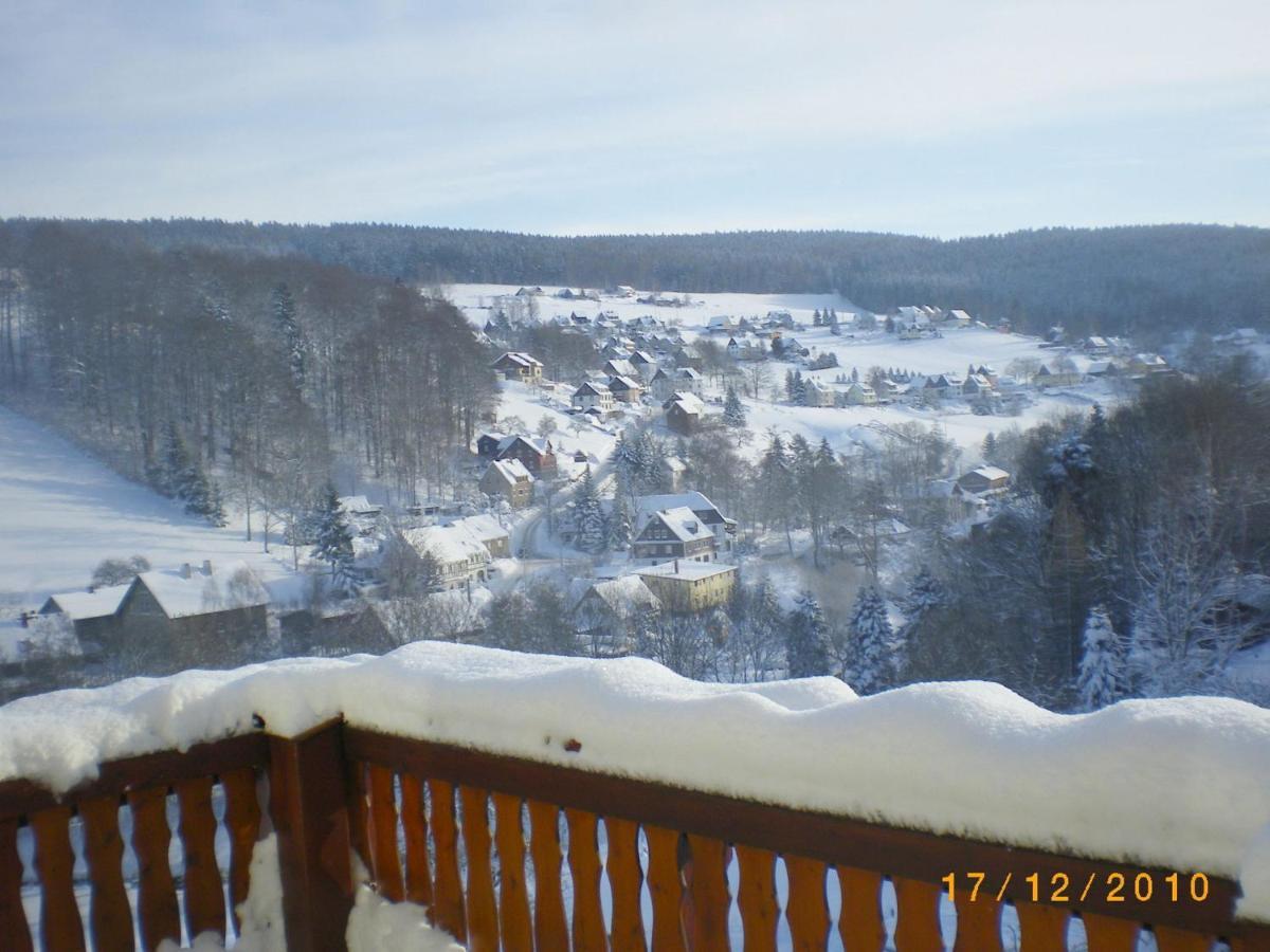 Cozy Apartment In Ore Mountains With Balcony Breitenbrunn  Ngoại thất bức ảnh