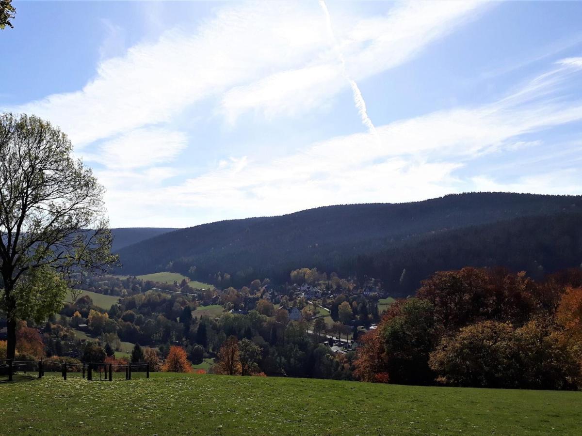 Cozy Apartment In Ore Mountains With Balcony Breitenbrunn  Ngoại thất bức ảnh