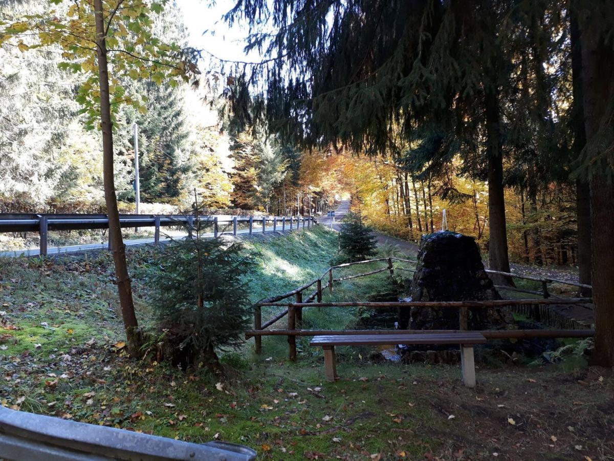 Cozy Apartment In Ore Mountains With Balcony Breitenbrunn  Ngoại thất bức ảnh
